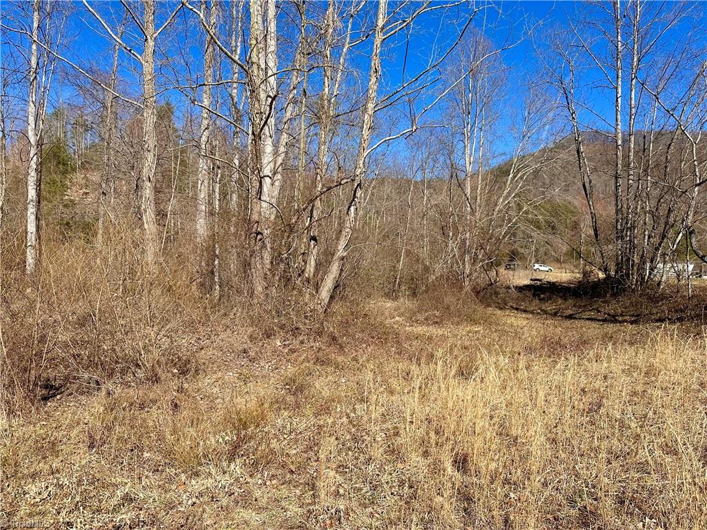 TBD Elk Creek Darby Road, Ferguson, North Carolina image 4