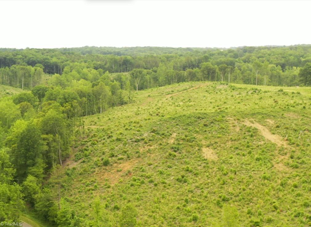 Lot 10 Skeens Mill Road, Trinity, North Carolina image 2