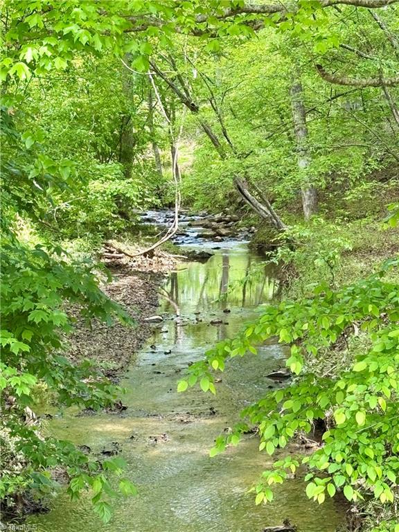 Lot 10 Skeens Mill Road, Trinity, North Carolina image 3