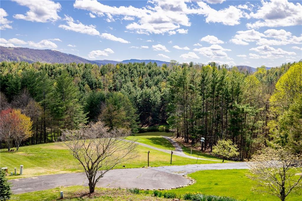 522 Buckeye Ridge Run, Sparta, North Carolina image 10