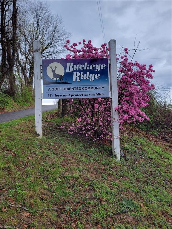 522 Buckeye Ridge Run, Sparta, North Carolina image 5