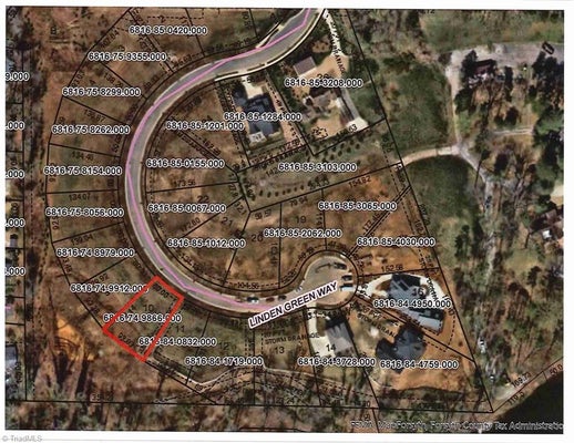 742 LINDEN GREEN WAY, WINSTON SALEM, NC 27106 - Image c25ee9cda7d3576e24dba1f627018b3f/1593600895