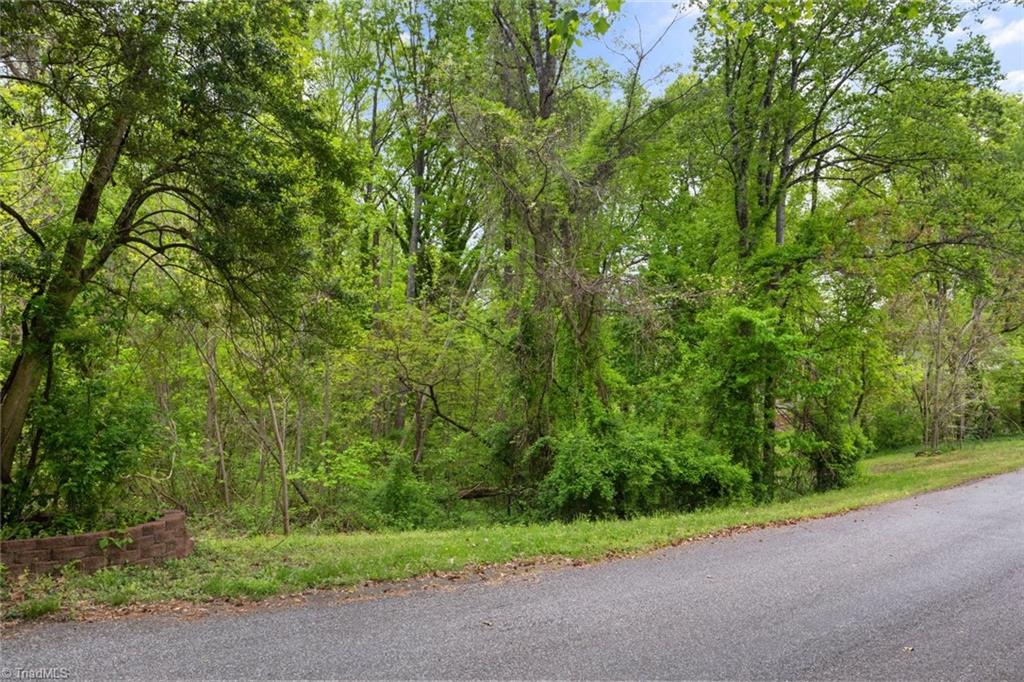 190 Blanco Peak Drive, Kernersville, North Carolina image 3
