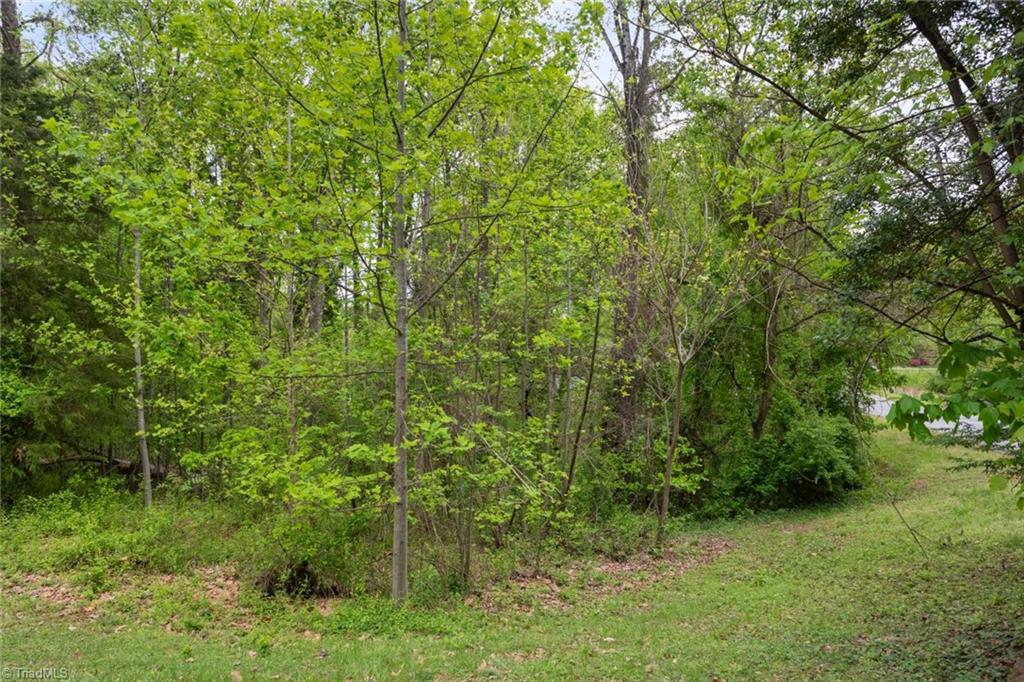 190 Blanco Peak Drive, Kernersville, North Carolina image 7