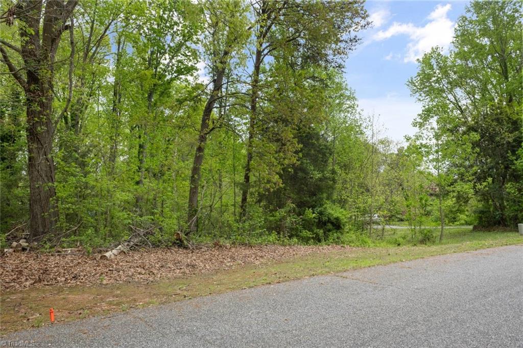 190 Blanco Peak Drive, Kernersville, North Carolina image 6