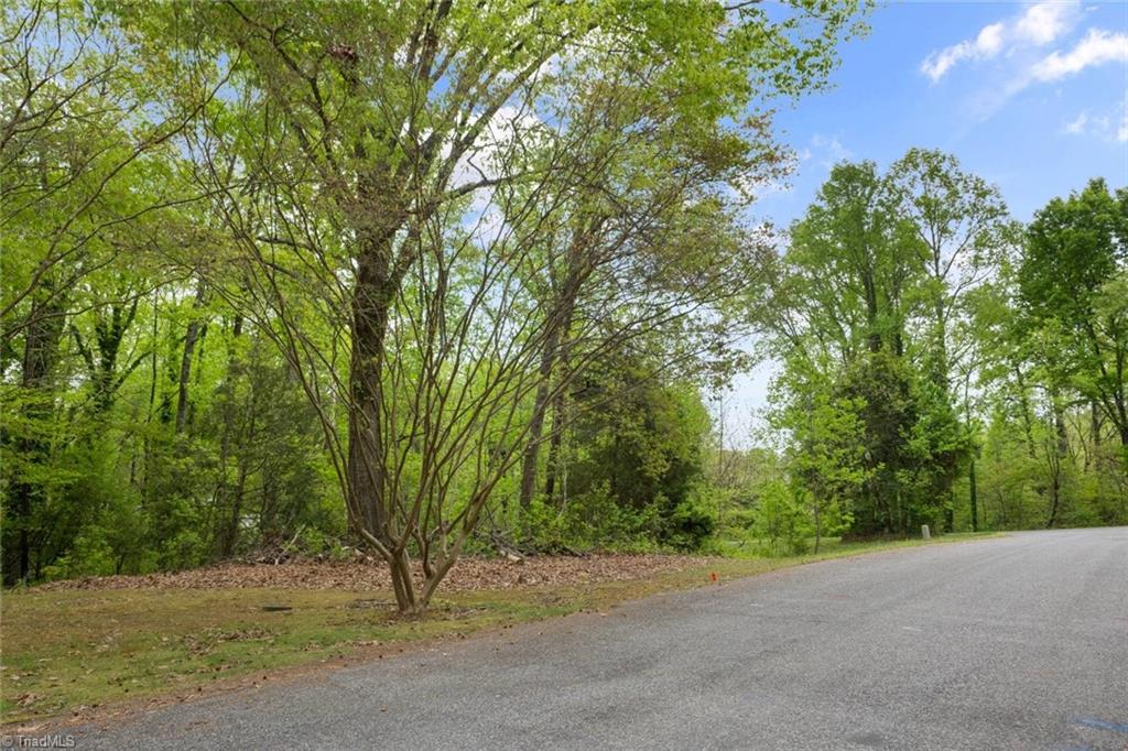 190 Blanco Peak Drive, Kernersville, North Carolina image 5