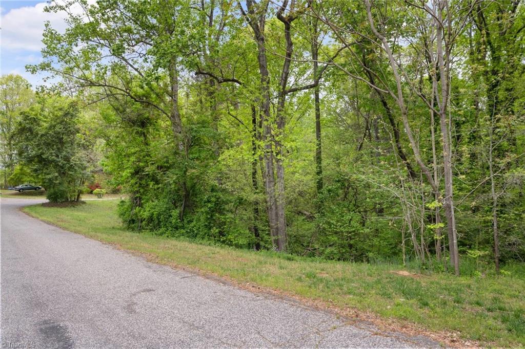 190 Blanco Peak Drive, Kernersville, North Carolina image 2