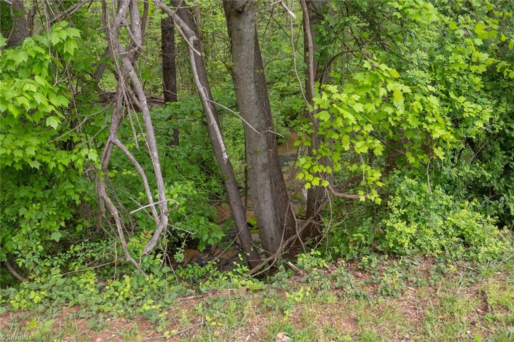 190 Blanco Peak Drive, Kernersville, North Carolina image 8