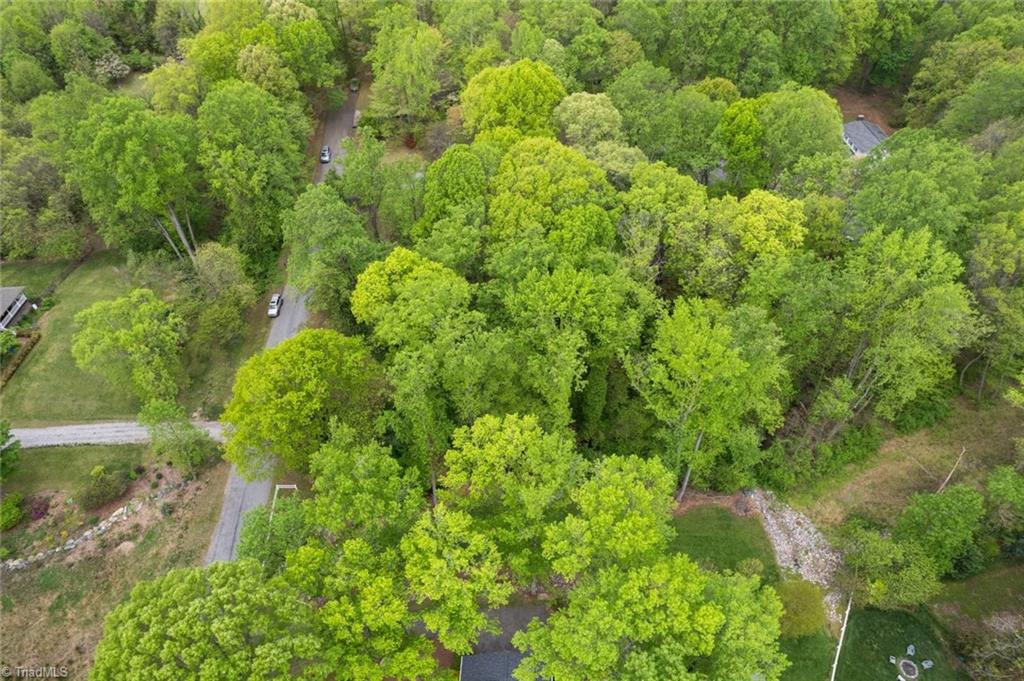 190 Blanco Peak Drive, Kernersville, North Carolina image 13
