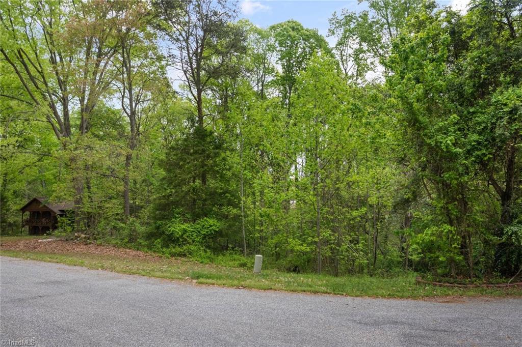 190 Blanco Peak Drive, Kernersville, North Carolina image 4