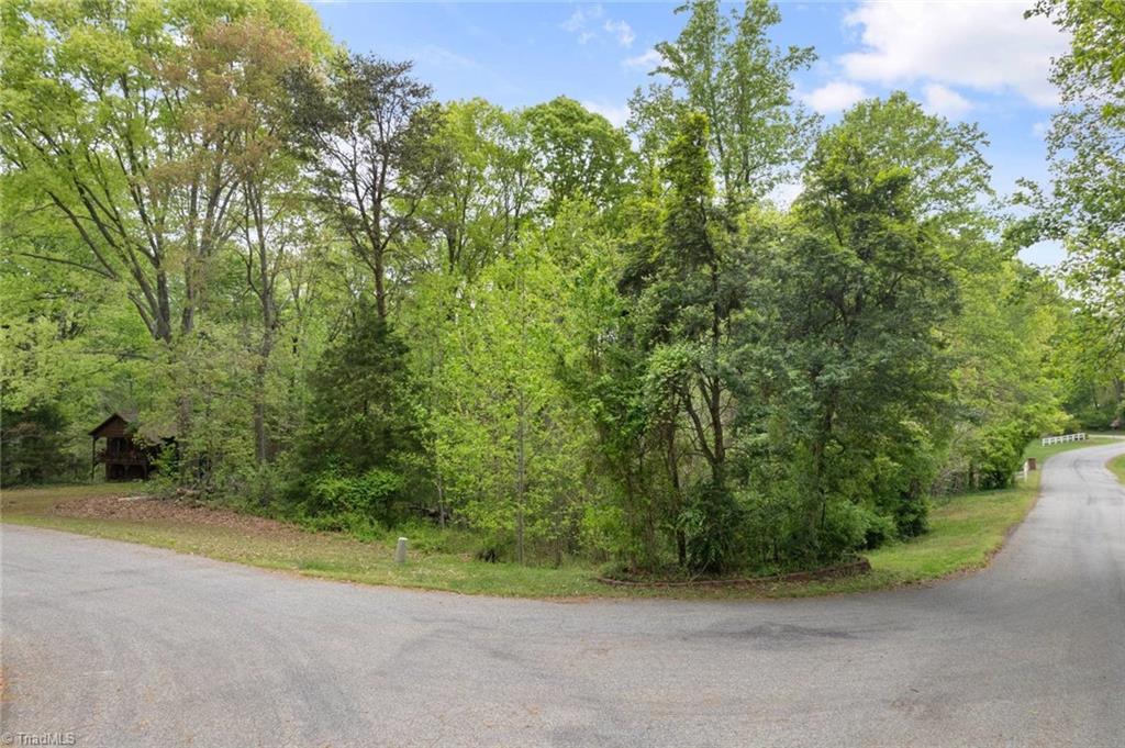 190 Blanco Peak Drive, Kernersville, North Carolina image 1