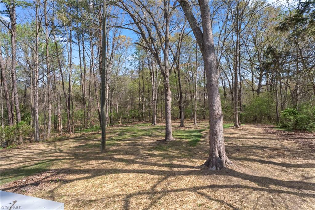 157 Spring Garden Circle, High Point, North Carolina image 41