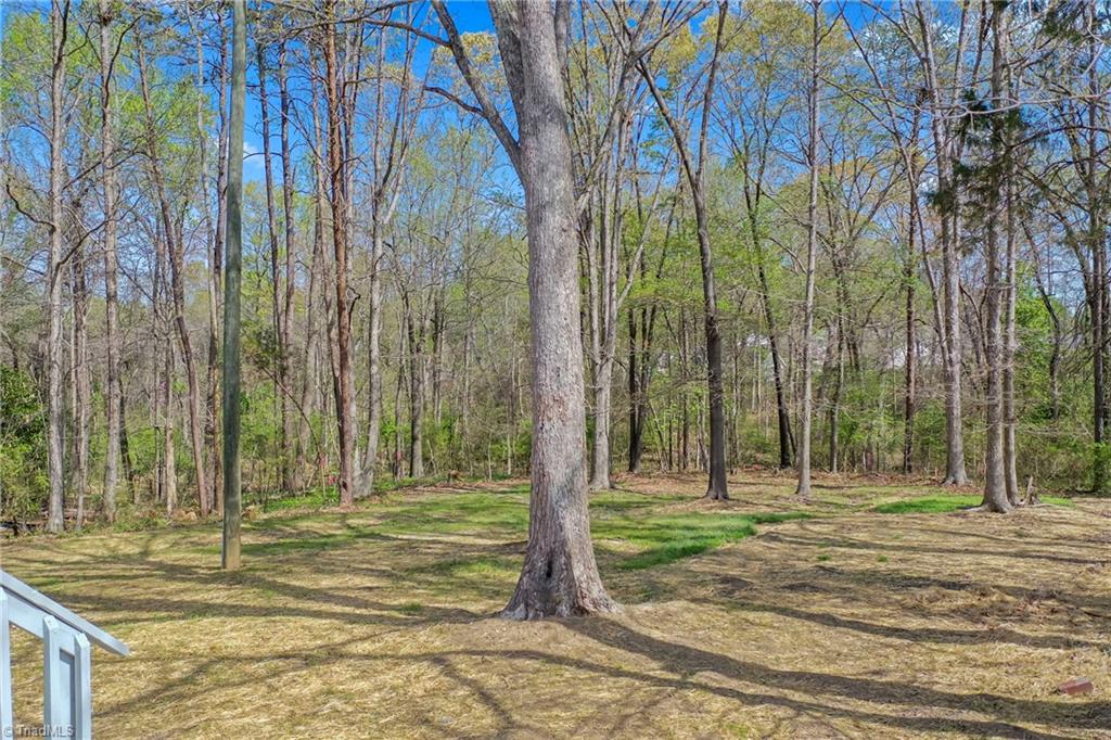 157 Spring Garden Circle, High Point, North Carolina image 40