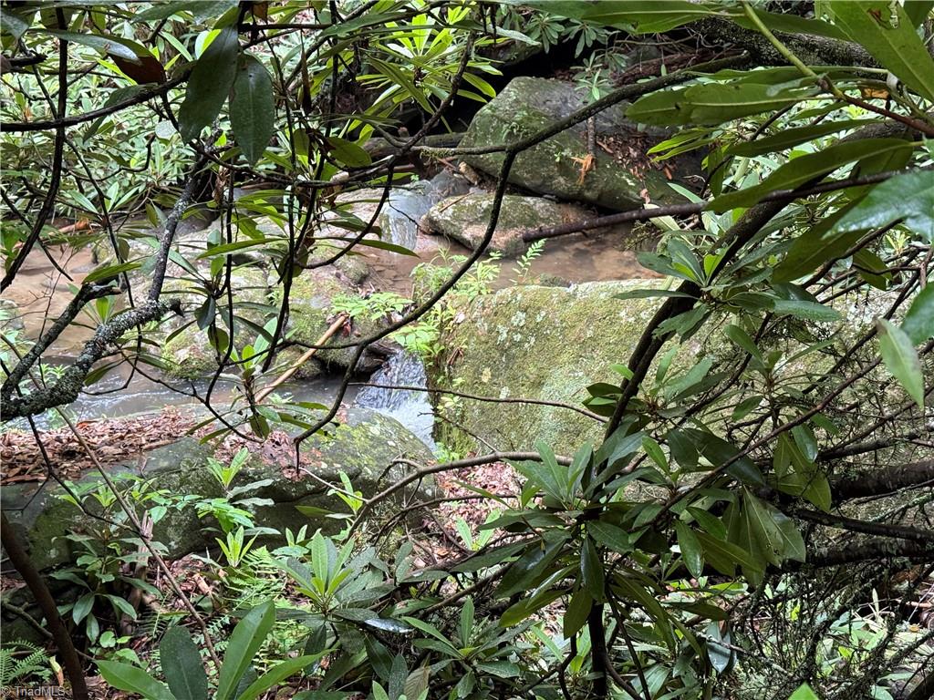 Tbd Waterfall Road, Millers Creek, North Carolina image 4