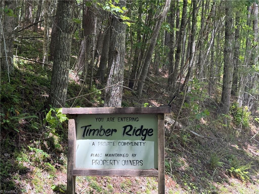 Tbd Waterfall Road, Millers Creek, North Carolina image 9