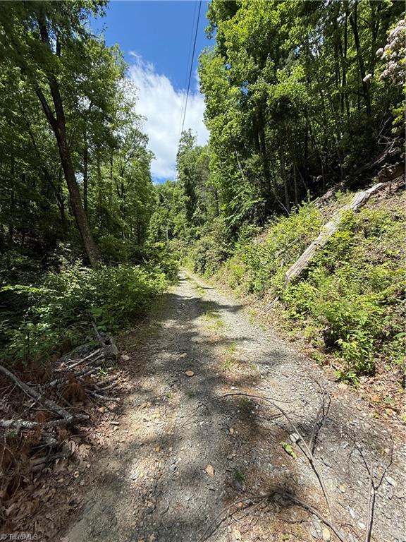 Tbd Waterfall Road, Millers Creek, North Carolina image 15