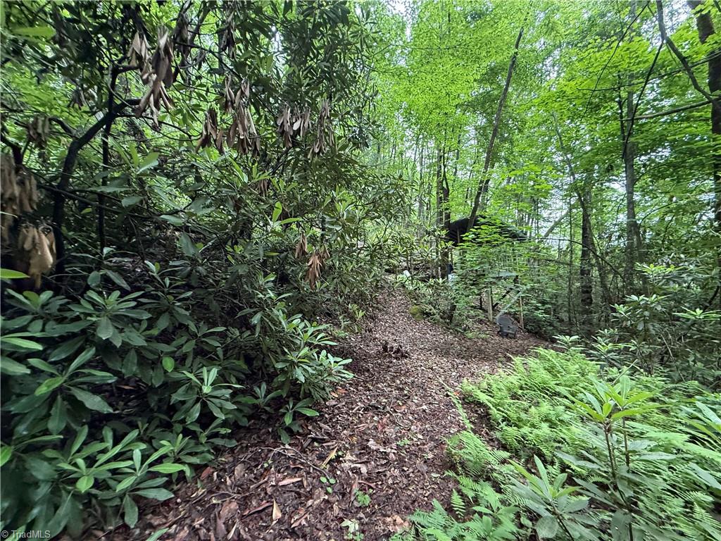Tbd Waterfall Road, Millers Creek, North Carolina image 17
