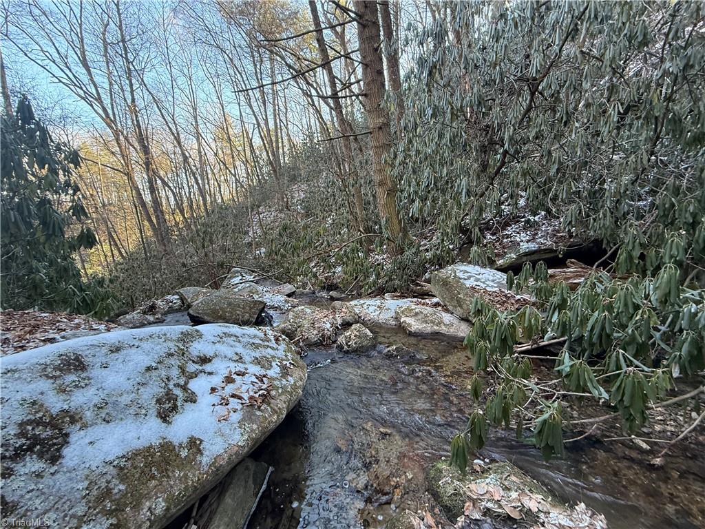 Tbd Waterfall Road, Millers Creek, North Carolina image 7