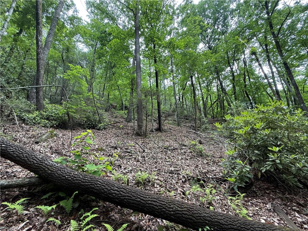 Tbd Waterfall Road, Millers Creek, North Carolina image 18