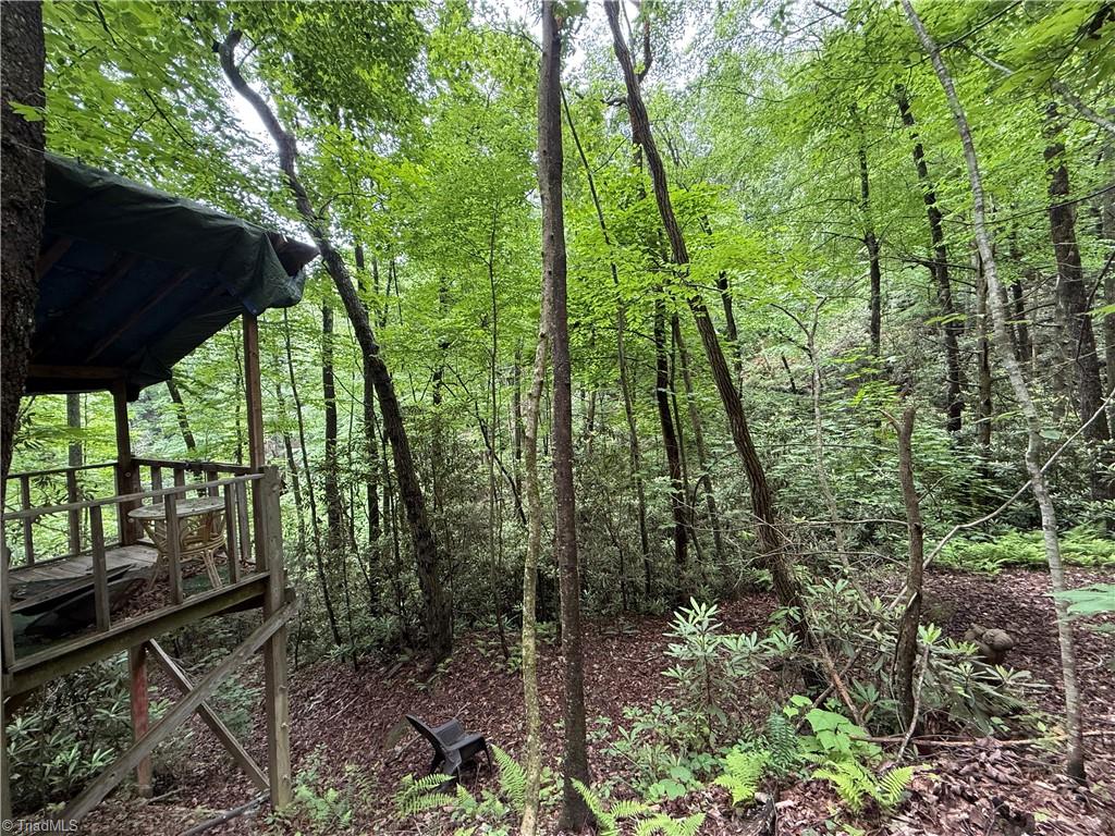 Tbd Waterfall Road, Millers Creek, North Carolina image 19