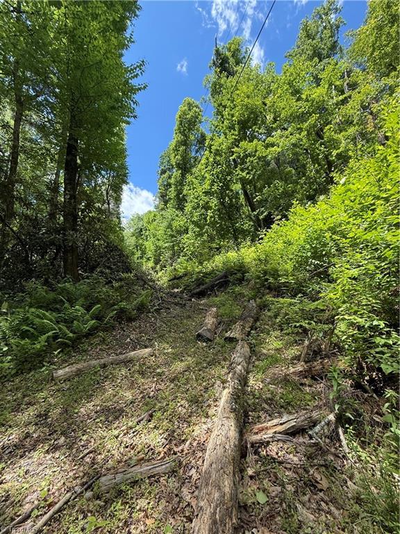 Tbd Waterfall Road, Millers Creek, North Carolina image 14