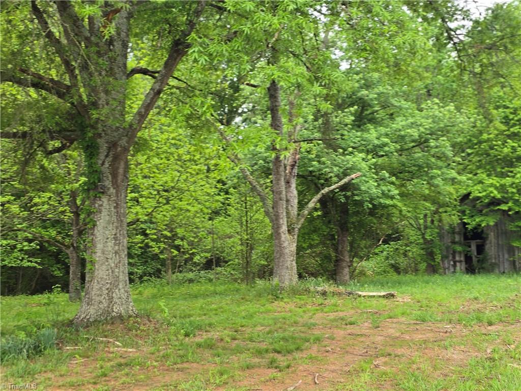 2408 Wyo Road, Yadkinville, North Carolina image 6