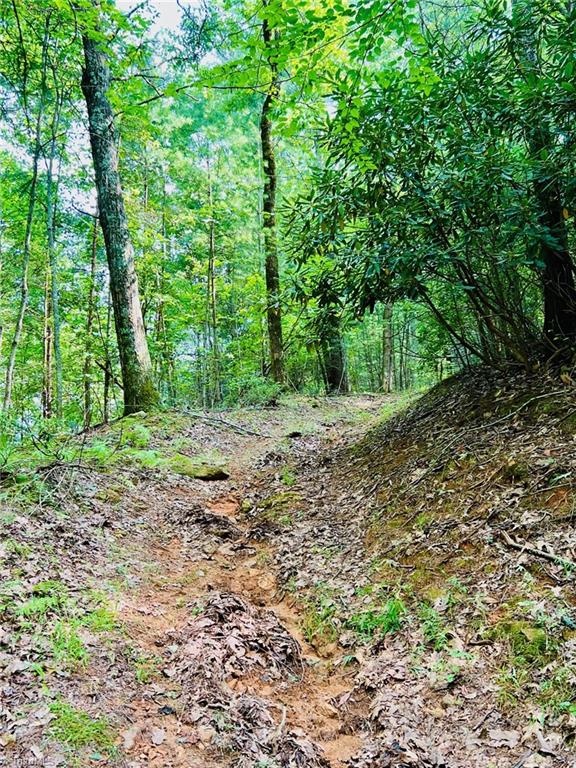 Griffin Lane, Millers Creek, North Carolina image 46