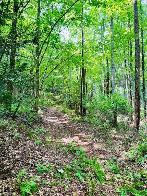 Griffin Lane, Millers Creek, North Carolina image 8