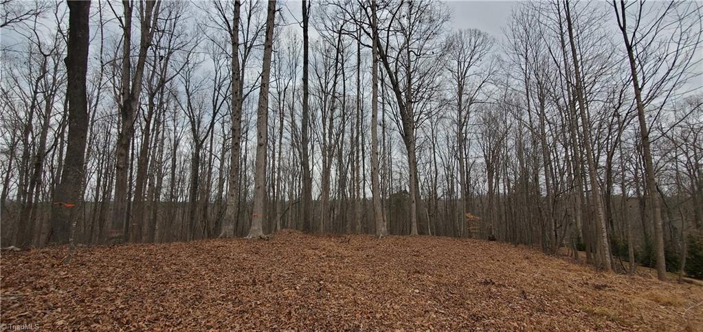 225 Forest Meadow Lane, Clemmons, North Carolina image 5