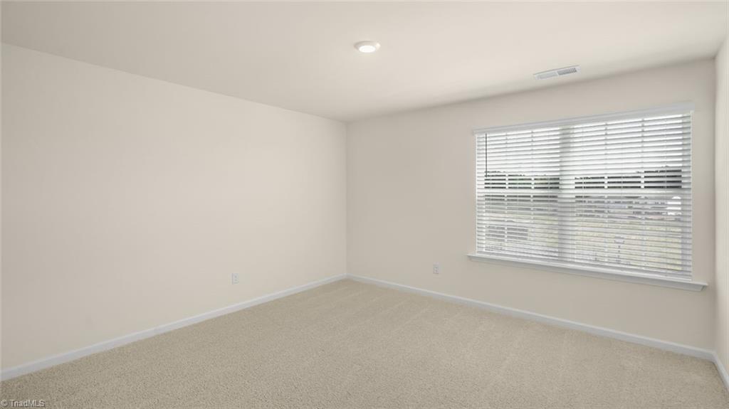 126 Holly Oak Way, Stokesdale, North Carolina image 23