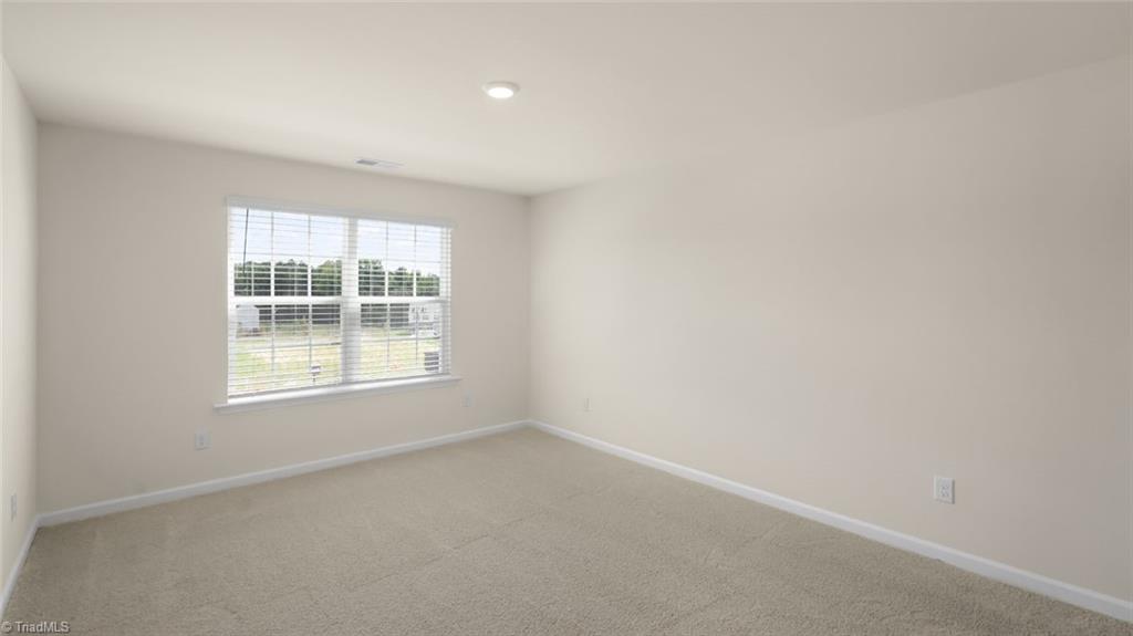 126 Holly Oak Way, Stokesdale, North Carolina image 33