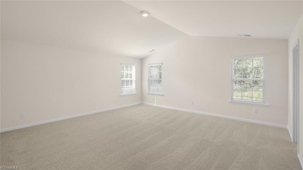 126 Holly Oak Way, Stokesdale, North Carolina image 27