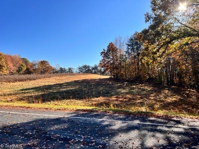 00 Nunnally Road, Pelham, North Carolina image 2
