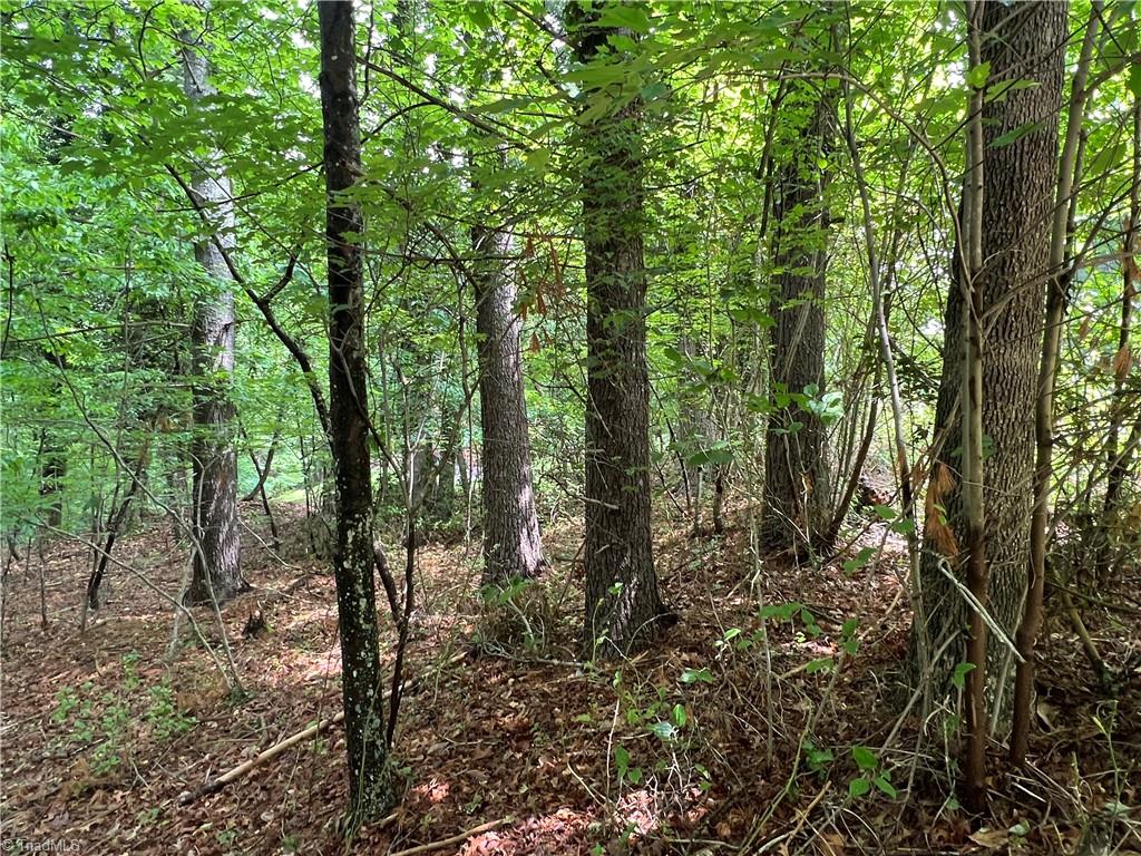 00 Cedar Trail #2.25 AC, Mount Airy, North Carolina image 2