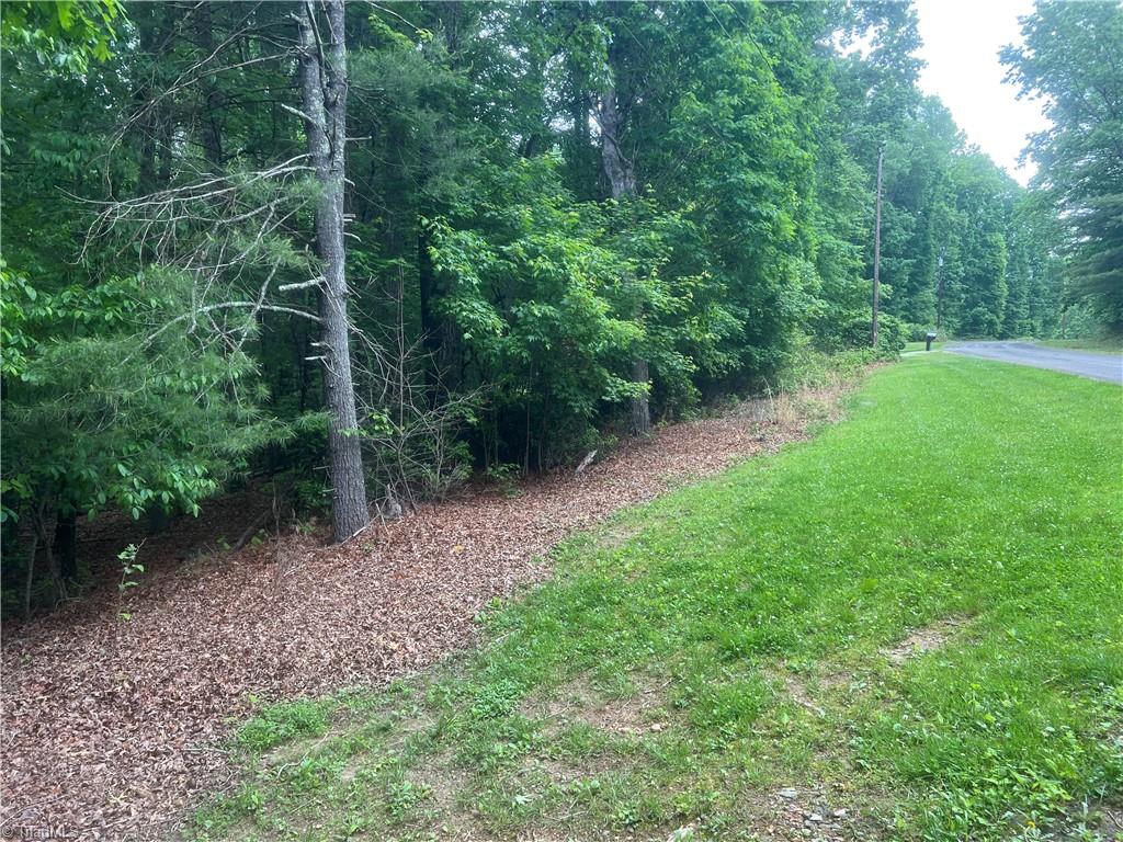 00 Cedar Trail #2.25 AC, Mount Airy, North Carolina image 4