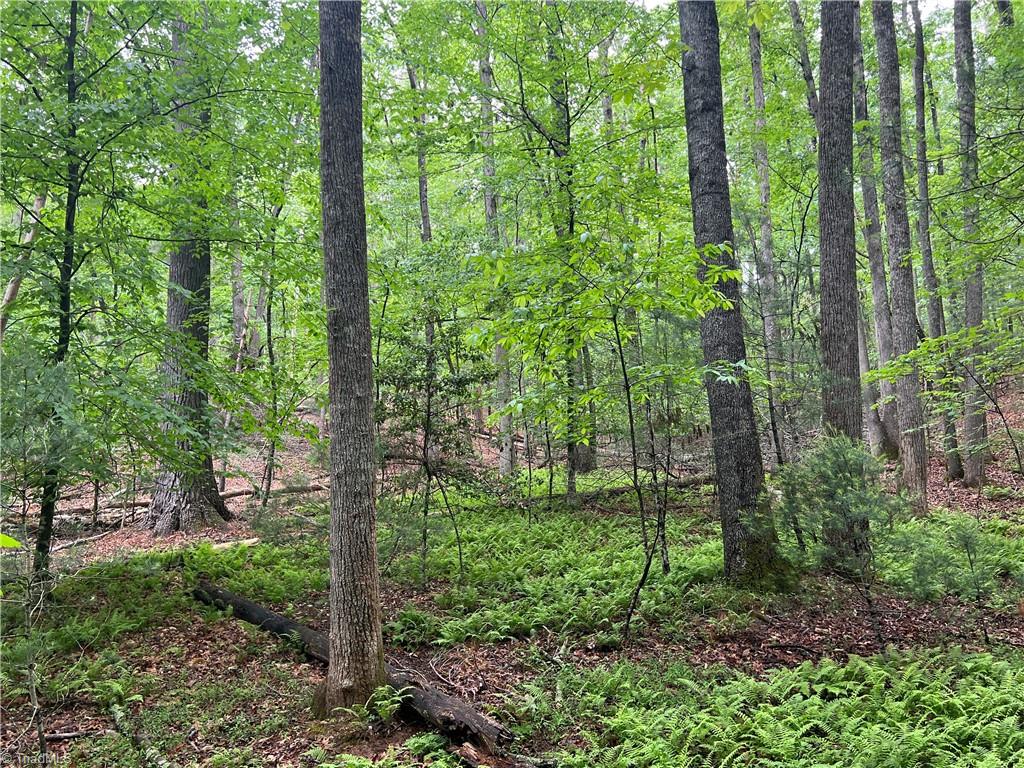 00 Cedar Trail #2.25 AC, Mount Airy, North Carolina image 6