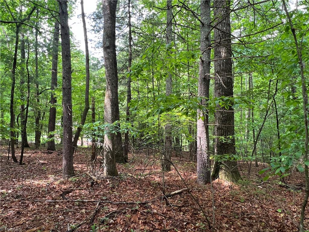 00 Cedar Trail #2.25 AC, Mount Airy, North Carolina image 7