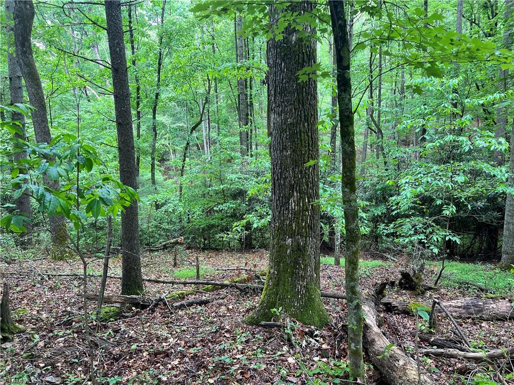 00 Cedar Trail #2.25 AC, Mount Airy, North Carolina image 8