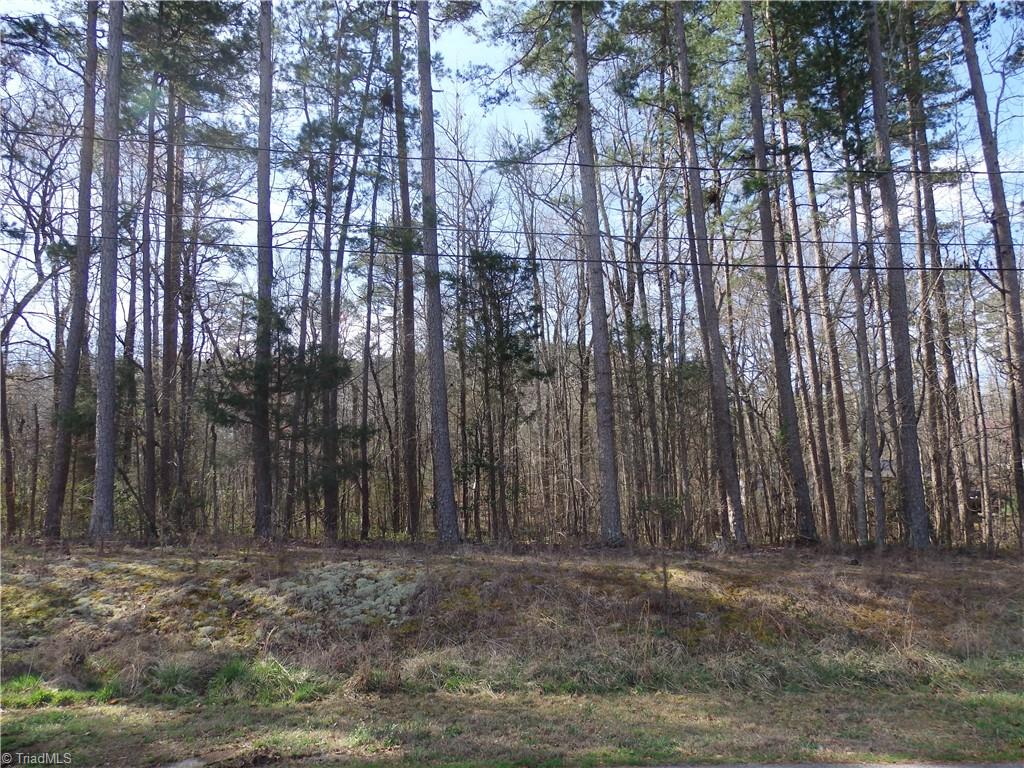 Seeley Drive, Denton, North Carolina image 4
