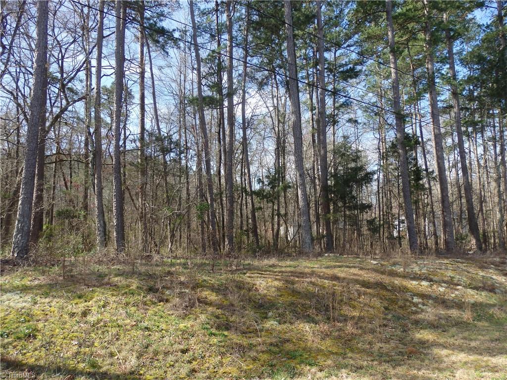 Seeley Drive, Denton, North Carolina image 7