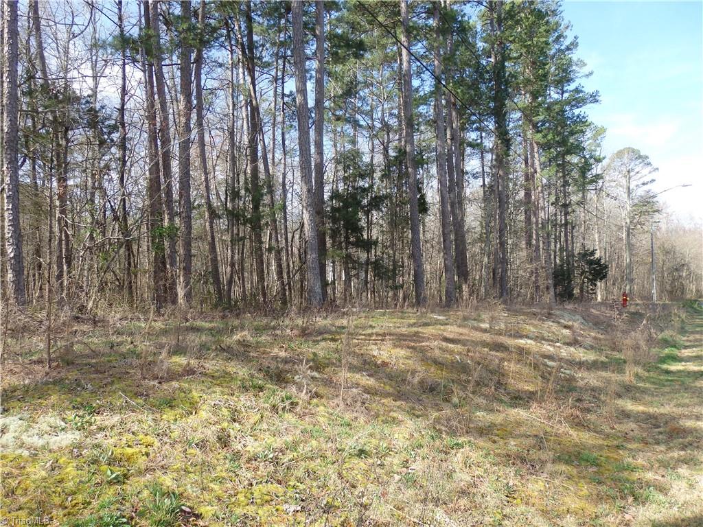 Seeley Drive, Denton, North Carolina image 6