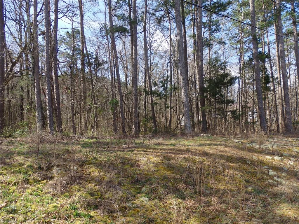 Seeley Drive, Denton, North Carolina image 5