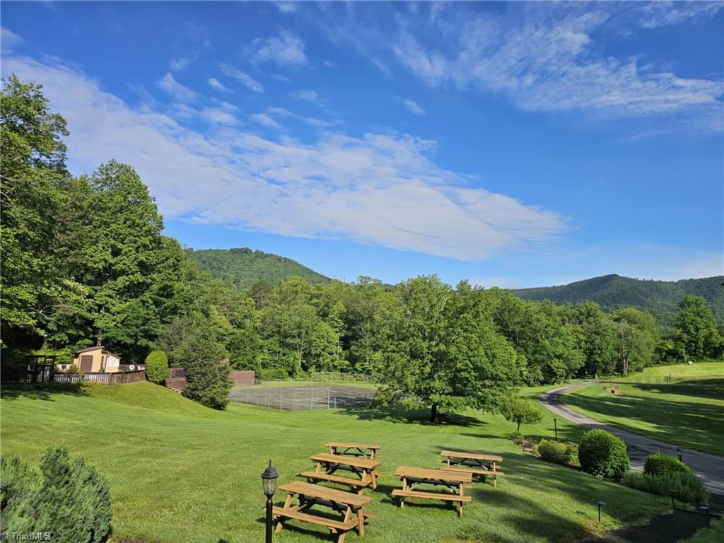 290 Jonathan Drive, Lowgap, North Carolina image 42