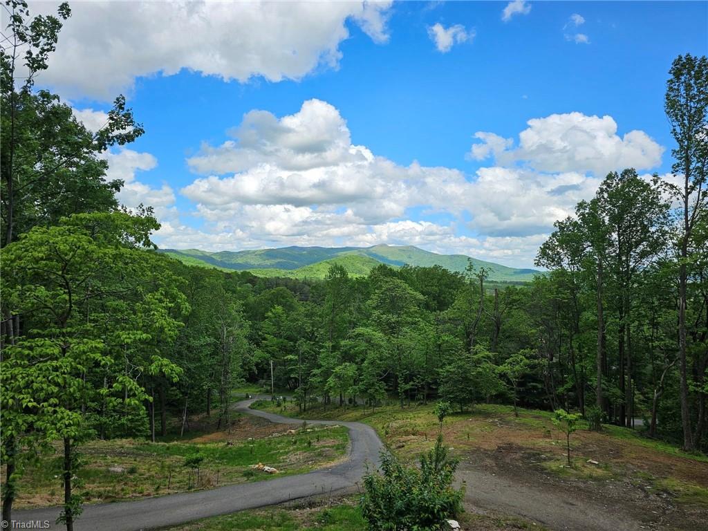 290 Jonathan Drive, Lowgap, North Carolina image 5