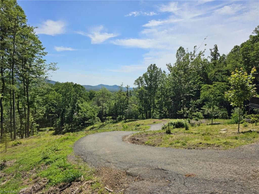 290 Jonathan Drive, Lowgap, North Carolina image 36