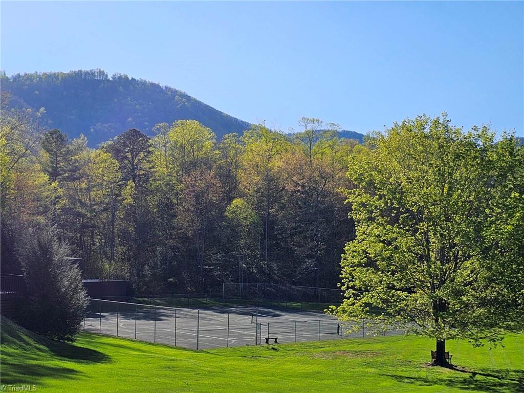 290 Jonathan Drive, Lowgap, North Carolina image 38