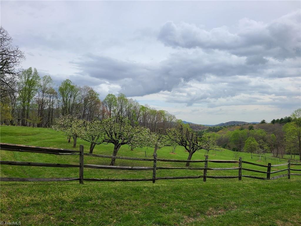 290 Jonathan Drive, Lowgap, North Carolina image 45
