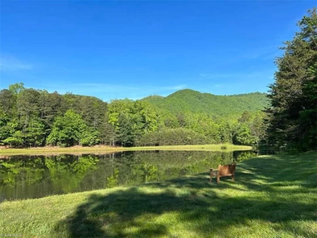 290 Jonathan Drive, Lowgap, North Carolina image 39