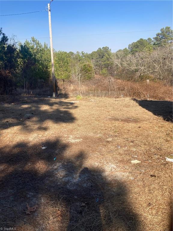 181 Stelleys Tabernacle Church Road, Rockingham, North Carolina image 5