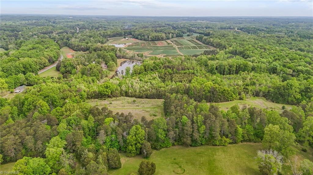 4100 High Rock Road, Gibsonville, North Carolina image 8